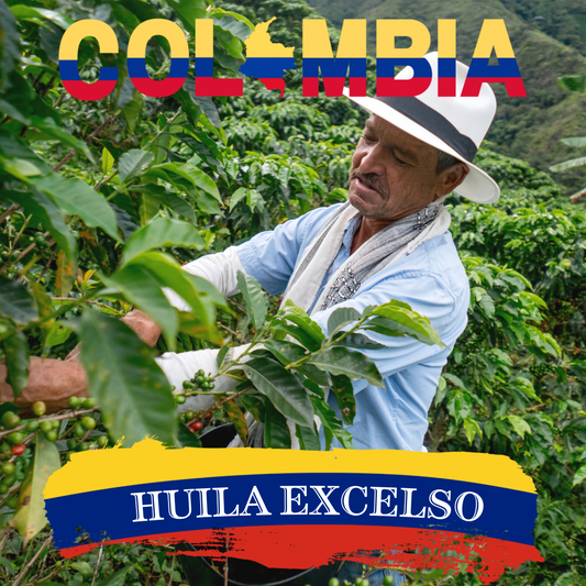 Colombia Huila Excelso