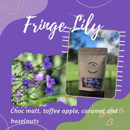 Fringe Lily